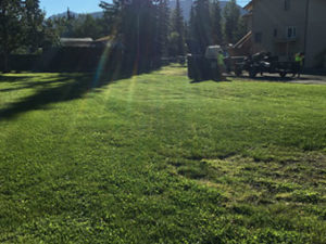 grass field for sale on Duben Road, commercial real estate in Alaska