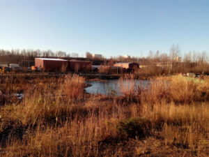 warehouse for lease in anchorage, outside grass