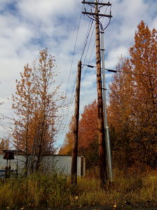picture of real estate commercial land on olive road in Anchorage Alaska. Yellow trees in fall.